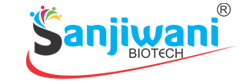 Website Design Company Mumbai