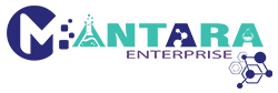 Website Design Company Mumbai