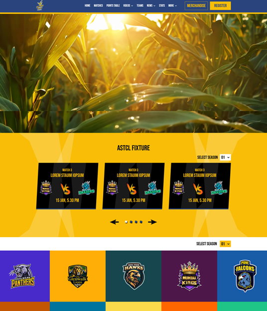 Our Portfolio