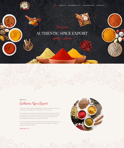 Our Portfolio